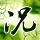 芥菜鱼片汤的做法大全